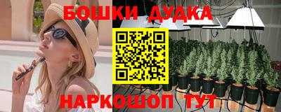 шишки Анапа