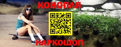шишки Анапа