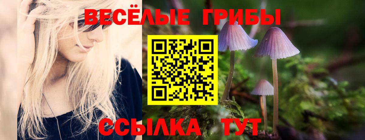 Обнинск  Псилоцибиновые грибы Magic Shrooms  Вход с VPN 